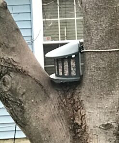 Woodlink Squirrel Diner Feeder Model 75590 beige 38 81AZrefRuXL