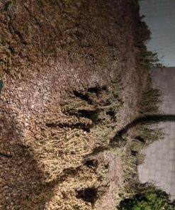 Compare-N-Save 75324 Herbicide, 1-gallon, white 44 81AapgrTIL