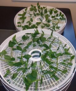 NESCO LM-2-6 Round Plastic Mesh 13 1/2" Clean-A-Screens, for Dehydrators, (Pack of 2) 21 81AcS77Ya3L