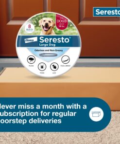 Seresto Large Dog Vet-Recommended Flea & Tick Treatment & Prevention Collar for Dogs Over 18 lbs. | 8 Months Protection 1 Pack Large Dog Only 28 81AcV5eazfL