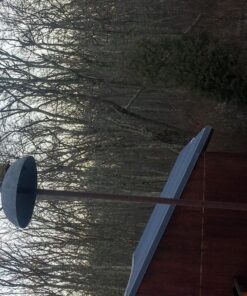 Perky-Pet 102 4 lb Squirrel Resistant Easy Feeder 30 81ActGhb5WL