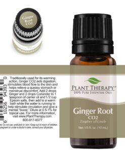 Plant Therapy Ginger Root CO2 Essential Oil 100% Pure, Undiluted, Natural Aromatherapy, Therapeutic Grade 10 mL (1/3 oz) 13 81AcvgqgwsL