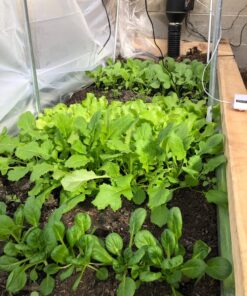 AC Infinity CLOUDLINE PRO T4, Quiet 4” Inline Duct Fan with Temperature Humidity VPD Controller, WiFi Integrated App Control - Ventilation Exhaust Fan for Heating Cooling, Grow Tents, Hydroponics 4-Inch PRO, Smart Controller 46 81AgaAVV3FL