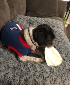 PET MAGASIN Rawhide Alternative Natural Jumbo Cow Ears 12-Pack Dog Treats Super Chew Long-Lasting, Made in Registered Facility 31 81AjGS5smjL