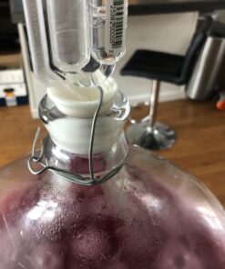 Fastrack 3 Piece Airlock for Fermentation | Hydrolocks for Fermenting Wine and Beer Making | BPA-Free Cylinder Airlock used for Brewing Wine, Beer, Pickles & more | Transparent Airlock Set Of 5 26 81AkyeECBWL 1