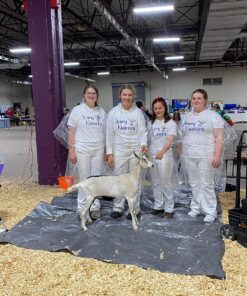 Hagon PRO Disposable Rain Ponchos for Adults (5 Pack) One Size Clear 26 81AlqymAmL