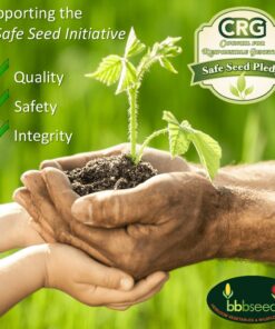 Hummingbird Nectar Wildflower Seeds Bulk Open-Pollinated Wildflower Seed Mix Packet, Non-GMO, No Fillers, Annual, Perennial Wildflower Seeds Year Round Planting - 1 oz 56 81AnLe1E2dL