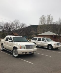 GM Genuine Parts 24230298 Automatic Transmission 1-2 and 3-4 Shift Solenoid Valve, Metal 32 81AnYMgDOL