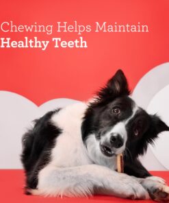 DreamBone DreamSticks, Rawhide Free Dog Chew Sticks Made with Real Chicken and Vegetables, 15 Sticks 15 Count 17 81Antj2bLaL