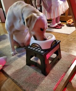 Seresto Large Dog Vet-Recommended Flea & Tick Treatment & Prevention Collar for Dogs Over 18 lbs. | 8 Months Protection 1 Pack Large Dog Only 42 81Ap8wEYunL