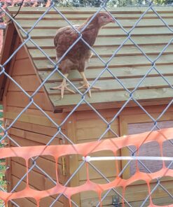 Exterminators Choice - 1 Gallon Peppermint Rodent Defense Spray- Great for Lawns, Gardens, Attics, and Garages - Non-Toxic Deterrent for Pest Control - Repels Mice and Rats - Safe for Kids and Pets 17 81AtHvlHoiL