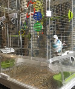 Volkman Avian Science Super Parakeet Bird Food 4lb 4 Pound (Pack of 1) 21 81AvVoOHbBL