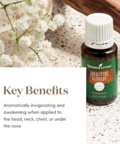 Young Living Eucalyptus Globulus Essential Oil 15ml - Pure & Revitalizing Aromatherapy - Breathe Easy & Refresh Your Senses - Topical & Aromatic - Supports Respiratory Health & Natural Well-Being Journey 0.5 Fl Oz (Pack of 1) 10 81AvmurAIuL