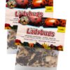 Nature's Good Guys 3000 Live Ladybugs - (2 X 1500 Live Ladybugs) - Guaranteed Live Delivery!