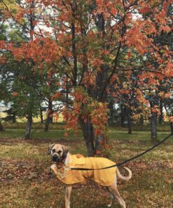 PetSafe® Gentle Leader® Headcollar, No-Pull Dog Collar, Large 60-130 Lb., Black 27 81B0dmecsRL