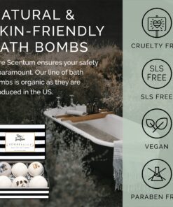 Pure Scentum Extra Large 6oz Vegan Bath Bombs for Women - US Made Organic 6 Relaxing Bath Bomb Gift Set for Women – Luxurious, Organic Bath Bombs for Women and Men (BombeLaLaLa) Bombelalala 36 81B1172oLzL