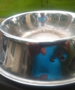 Beeman Sportsman Series Deluxe Air Pistol - Model 2004 28 81B4o4n8o1L