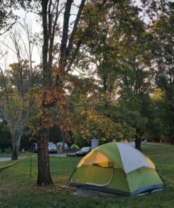 Coleman Sundome Camping Tent, 2/3/4/6 Person Dome Tent with Snag-Free Poles for Easy Setup in Under 10 Mins, Included Rainfly Blocks Wind & Rain, Tent for Camping, Festivals, Backyard, Sleepovers Palm Green 4 Person 36 81B75YvAIhL