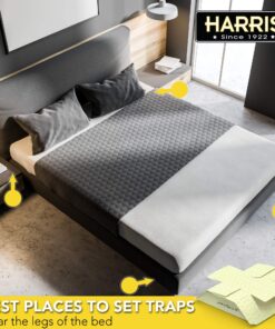 HARRIS Bed Bug Traps - Parent (20-Pack) 17 81B9Il7VVXL