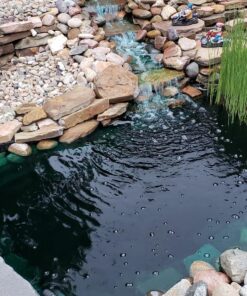 BioSafe Systems GreenClean Granular Algaecide, 20 lbs, String Algae Control for Koi Ponds, Fountains, Waterfalls, Water Features on Contact, EPA Registered 15 81B9Jzf1vL