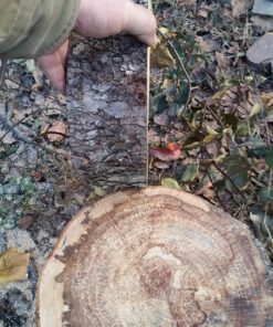 Buffalo Tools ECSS Electric Chainsaw Sharpener 23 81BBVmaYvTL