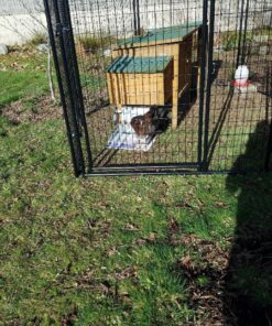 Grandpa's Feeders Automatic Chicken Feeder - Sturdy Galvanized Steel Poultry Feeders - No Spill with Weatherproof Lid - Standard Size for 6-12 Chickens 10 Days (20lb Feed) Silver 14 lb 35 81BE4dWHtSL