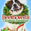 Beethoven's Christmas Adventure [DVD] DVD 
                             
                            August 4, 2015