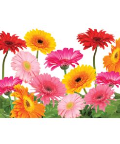 Tervis Gerbera Daisies Made in USA Double Walled Insulated Tumbler Travel Cup Keeps Drinks Cold & Hot, 16oz, Classic Contemporary 13 81BKQFuFL 1