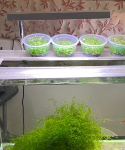 ONF Flat Nano Full Spectrum LED Aquarium Light, Dimmable 7000K / 1300lm, for <10 Gallons Rimless Fish Tanks, Freshwater Aquatic Plant Growth, Terrarium Spotlight, Potted Plant IP54 Waterproof (Silver) Silver 36 81BLXOiTZqL