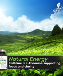Green Tea Extract Capsules 1000mg 98% Standardized EGCG - 3X Strength for Natural Energy - Heart Support with Polyphenols - Gentle Caffeine - 120 Capsules 120 Count (Pack of 1) 16 81BN9KgwkML