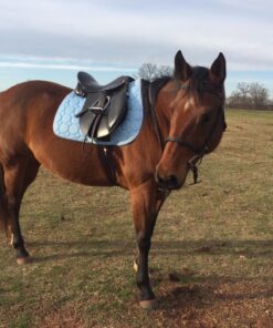 Roma Circle Quilt Pads Blue/White/Denim FULL 11 81BOTQIsQUL