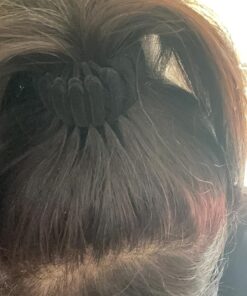 Sizobi 3 Pcs Bird Nest Magic Hair Clip,Hair Accessories for Women, Expandable Hair Bun Maker, Hair clips for Thick Thin hair, Hair Clips for Women and Girls, Ponytail Holders, Hair Bun Clip Series A 44 81BQ2NQGoAL 1