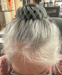 Sizobi 3 Pcs Bird Nest Magic Hair Clip,Hair Accessories for Women, Expandable Hair Bun Maker, Hair clips for Thick Thin hair, Hair Clips for Women and Girls, Ponytail Holders, Hair Bun Clip Series A 35 81BQlxTkLcL 1