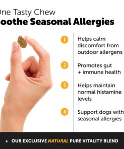 Pet Honesty Dog Allergy Relief Immunity - Chews, Probiotics for Dogs, Seasonal Allergies, Skin and Coat Supplement, Itch Support Supplement (Salmon) Salmon Single 27 81BXSVKrIhL