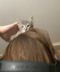 Turtle Beach Stealth 600 Gen 2 USB Wireless Amplified Gaming Headset - Licensed for Xbox Series X, Xbox Series S, & Xbox One - 24+ Hour Battery, 50mm Speakers, Flip-to-Mute Mic, Spatial Audio - Black Stealth 600 USB 33 81BYFWy7C8L