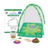 Butterfly Garden: Farm Habitat and Live Cup of Caterpillars – Life Science & STEM Education Butterfly Farm 10 81Bd2q98aL
