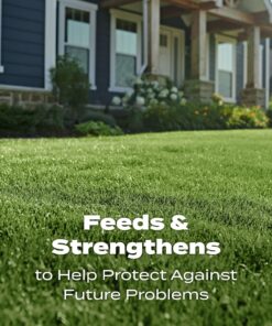 Scotts Turf Builder Lawn Food - Fertilizer for All Grass Types, 5,000 sq. ft., 12.5 lbs. 5,000 sq. ft. 37 81BiW1SrDIL