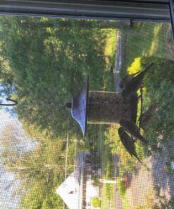 Perky-Pet 312-1SR Outdoor Panorama Wild Bird Feeder - 2 Lb Seed Capacity Brown 37 81BkuwFRkTL