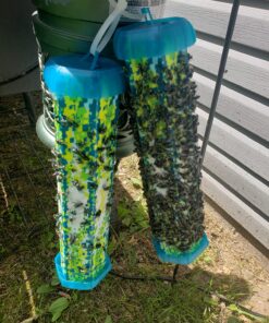 RESCUE! Fly TrapStik – Indoor Hanging Fly Trap Green 31 81Bl8HoKpEL