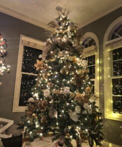 Kurt Adler C2289 5.1" Silver Hanging Owl Christmas Ornament 2 Assorted 47 81BlQH E0CL