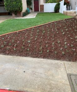 Power Planter Bulb & Bedding Black Auger Bit (3"x7") with 3/8" Non-Slip Hex Drive for Bulb Planting and Gardening Equipment for Grass and The Lawn, Mixing Paint, Earth Auger for Home Projects 19 81BlgO6OUXL