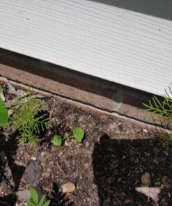 Seed Needs, Cucamelon Seeds - 65 Heirloom Seeds for Planting Melothria scobra - Mexican Sour Gherkin Non-GMO & Untreated, Boasts a Light Citrus Flavor, (2 Packs) 2 Packs (130 Seeds) 48 81Boq FHFmL