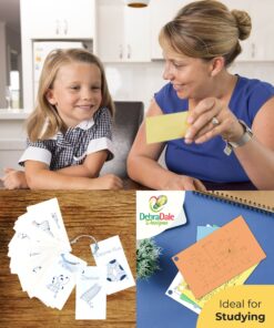 Debra Dale Designs Blank Flash Cards - 1100, 2 x 3.5 Index Cards in 6 Colors - Studying Essentials Storage Box and Lid, USA Made Multi-Color Punched 13 81BoxJQ3bjL