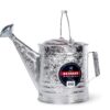 Behrens 2-1/2-Gallon 210 Steel Watering Can, Silver 33 81BrvlMkML