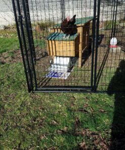 Grandpa's Feeders Automatic Chicken Feeder - Sturdy Galvanized Steel Poultry Feeders - No Spill with Weatherproof Lid - Standard Size for 6-12 Chickens 10 Days (20lb Feed) Silver 14 lb 36 81BsVBEPBvL