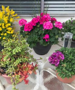 Recycle a Plastic Bottle Stake Set with Adapter 1 25 81BvEkVFcGL