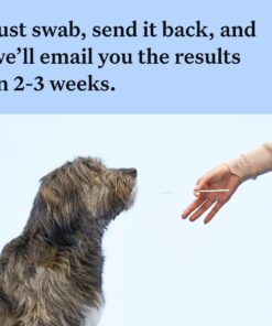 Wisdom Panel Breed Discovery Dog DNA Kit: Most Accurate Dog Breed Identification, Test for 365+ Breeds, MDR1 Health Test, Ancestry, Relatives 27 81Bx8tVKiCL