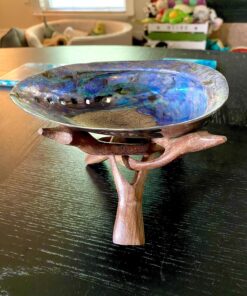 Premium Polished Abalone Shell, Large, 5-6 inches, with Wooden Stand, for Smudging, Cleansing, Home Decor, Gift Box. 100% Natural Colour - Sustainably Sourced by Ocean Shell Studios New Zealand 5-6" Polished Shell + Stand 21 81ByHbbIVvL