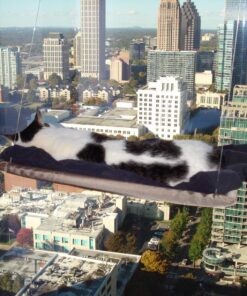 Oster Sunny Seat Window-Mounted Cat Bed, 50 Pounds 51 81BzSTD0xoL