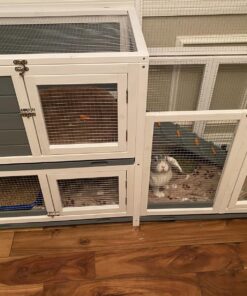 Van Ness Cat Pan - Medium (Assorted Colors) Blue 18 81BzoH0NL5L